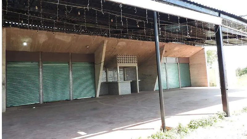 Zumpango en alerta: lirio acuático amenaza con destruir la laguna [Fotorreportaje]